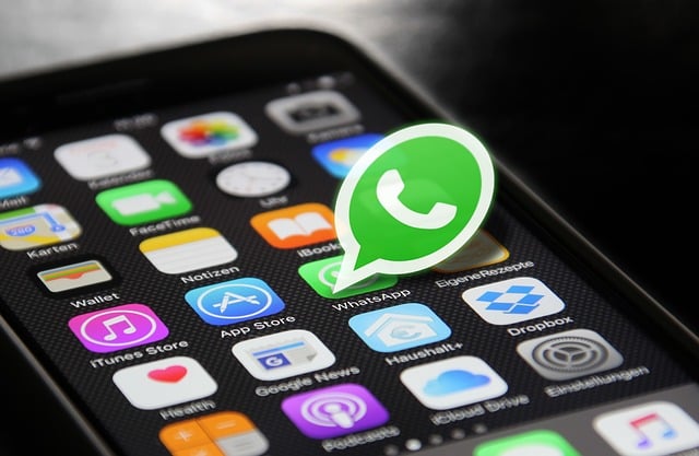 whatsapp-marketing-services
